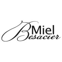 LA RUCHE ROANNAISE BESACIER logo