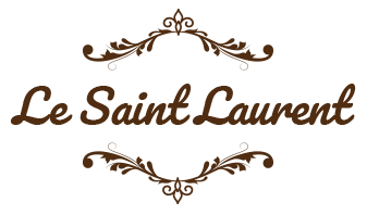 BOURDET SYLVAIN logo