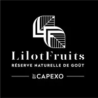 CAPEXO logo
