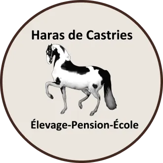 GRIMAUD CAROLINE (HARZS DE CASTRIES) logo