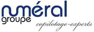 SECIF AUDIT logo