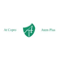 ATEM + logo