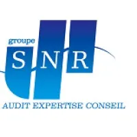 SNR AUDIT logo