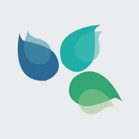 BOIS FLEURI logo