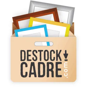 2 DM ENCADREMENT (CADRE DE VIE) logo
