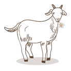 EARL DU JARDY logo