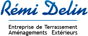 DELIN REMI logo
