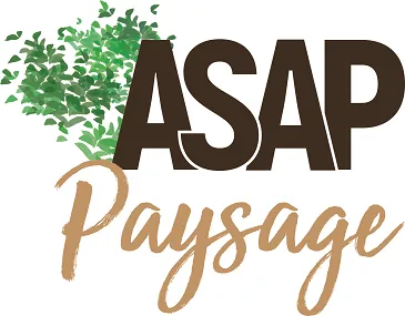 MILLET EMMANUEL (A.S.A.P.) logo
