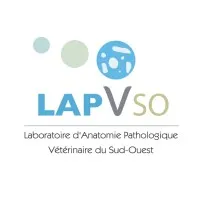 LABORATOIRE D'ANATOMIE PATHOLOGIQUE VETERINAIRE DU SUD-OUEST (LAPVSO) logo