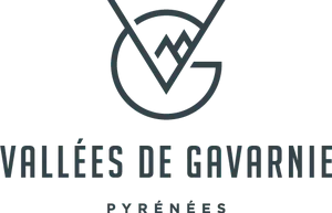 ACCUEIL VACANCES EN VAL D'AZUN (AVVA) logo