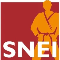 SNEI logo