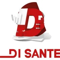 Voici le logo de la marque DI SANTE SUD-EST qui représente son identité graphique.