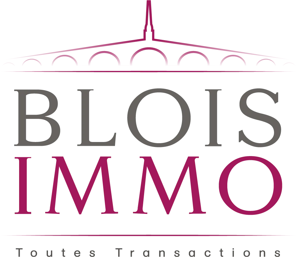 BLOIS-IMMO logo