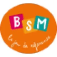 BSM LE JEU DE REFERENCE logo