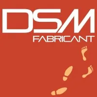 DIFFUSION SOL MUR (DSM) logo