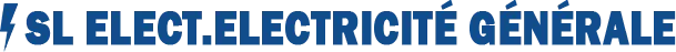 LUDWIG SYLVAIN logo