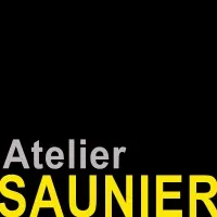 THIERRY SAUNIER logo