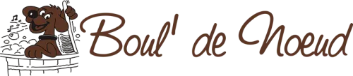 DUTTO SANDRA (BOUL DE NOEUD) logo