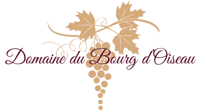 BENZERGUA FREDERIC logo