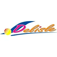 Voici le logo de la marque DVB (Delisle) qui représente son identité graphique.