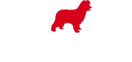 RIBOUCHON ET FILS logo