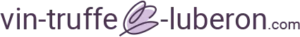 BLUE SUN VACATIONS logo
