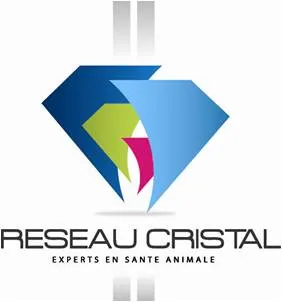 SUDELVET CONSEIL