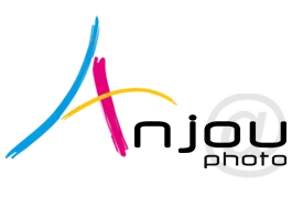 LAB'IMAGE SERVICE logo
