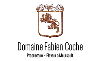 DOMAINE COCHE FABIEN logo