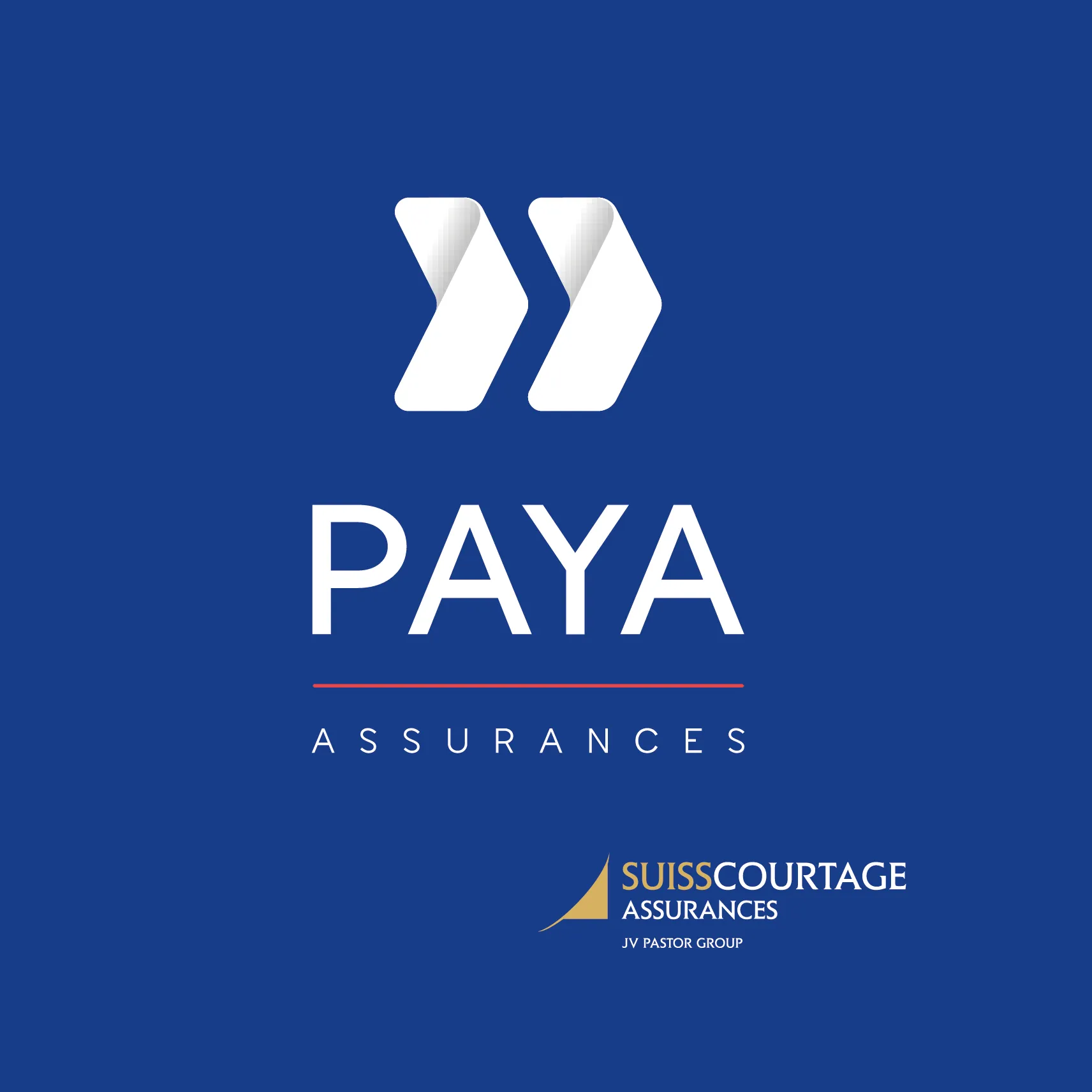 PIERRE PAYA ASSURANCES logo