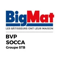 Voici le logo de la marque BUSCA DISTRIBUTION (BVP) qui représente son identité graphique.