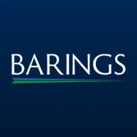 BARING FRANCE logo