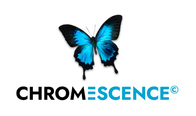 LANFRANCHI HOLOGRAMMES logo