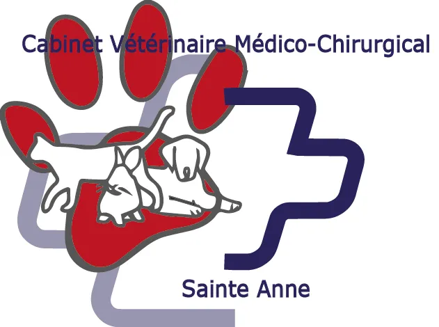 GOOVAERTS VINCENT logo