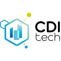 CONSEIL ET DEVELOPPEMENT DES TECHNOLOGIES DE L'INFORMATION logo