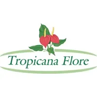 TROPICANA FLORE logo