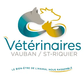 SAS BUISSART-CORNILLE logo