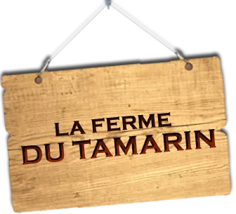 LE TAMARIN logo