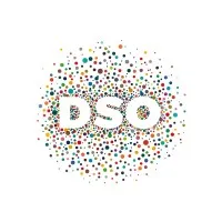 DEREPAS SASSO ORGANISATION (DSO) logo