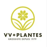 VV PLANTES