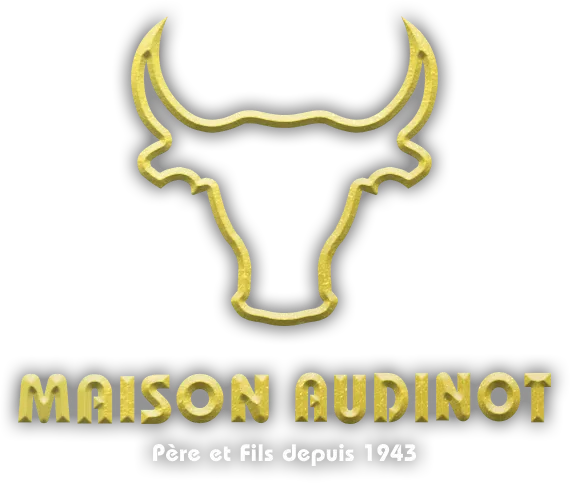 SCI AUDINOT logo