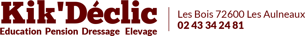 KIK DECLIC logo