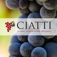 CIATTI EUROPE logo