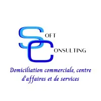SOFT CONSULTING logo