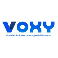 VOXY (VOXY) logo