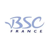 BUSINESS SOFTWARE CONSULTING (BSC) logo