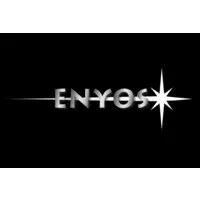 ENYOS SECURITE (ENYOS SECURITE) logo
