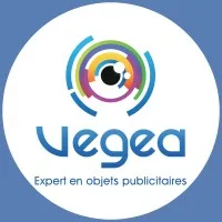 VEGEA  VERNON GENDRON ASSOCIES logo