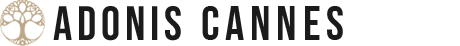 SOPHIE ANGELE (HOTEL THOMAS) logo