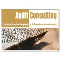 Voici le logo de la marque AUDIT CONSULTING qui représente son identité graphique.